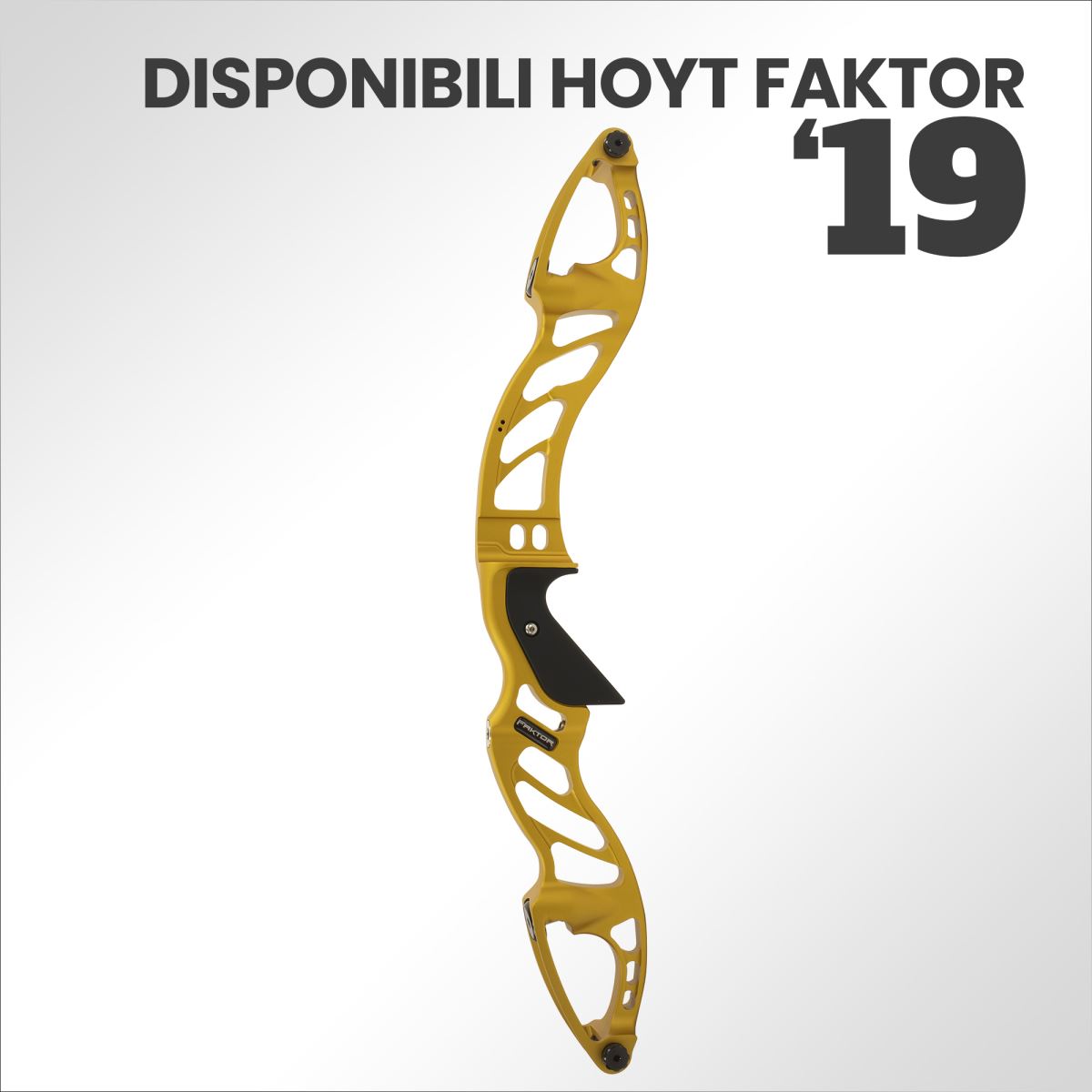 NOW AVAILABLE HOYT FAKTOR 2019 | DISPORT